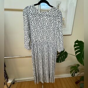 Zara Polkadot Maxi Dress